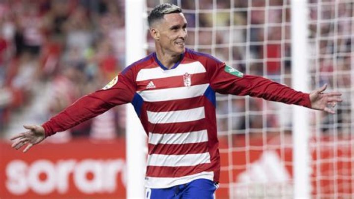 José Callejón