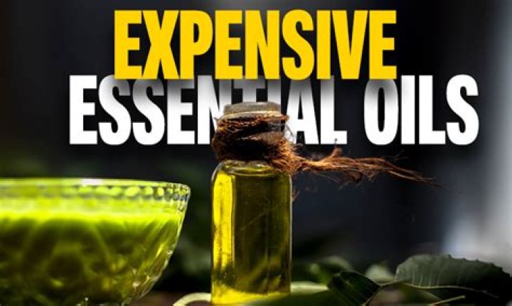 The 10 Most Expensive Essential Oils In The World