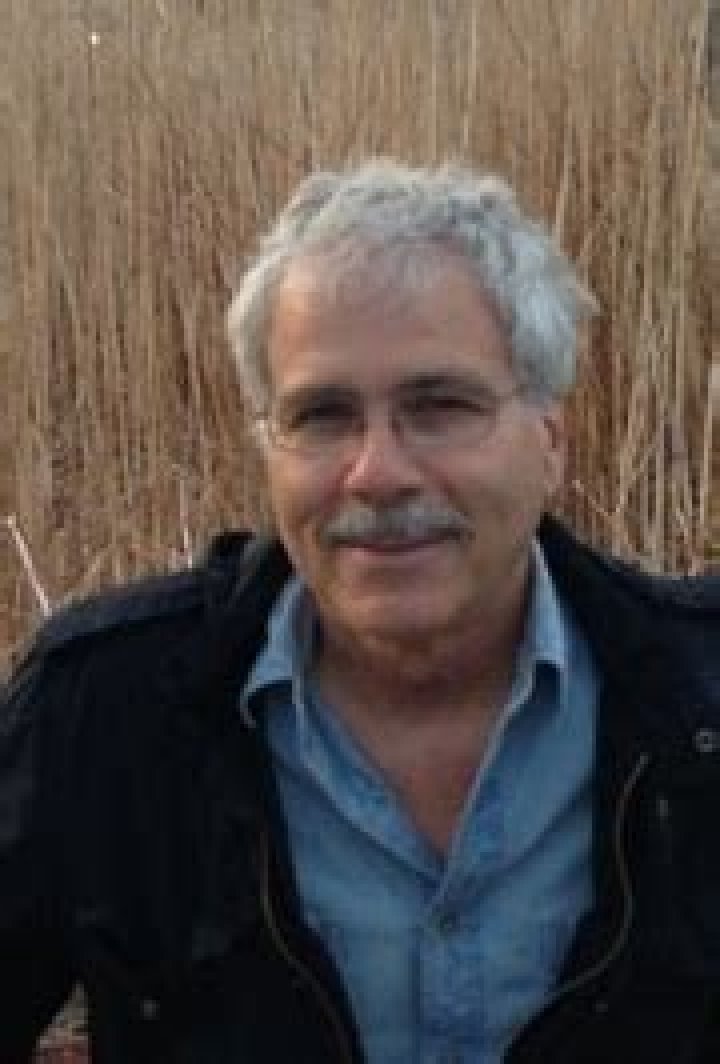 Tom Nardini