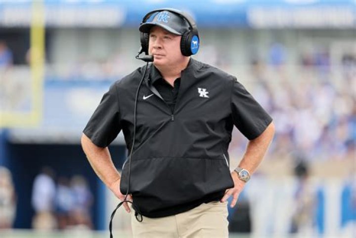 Who Is Mark Stoops?, Age, Height, Weight, Career, Family, Net Worth
